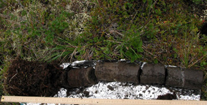 permafrost soil core